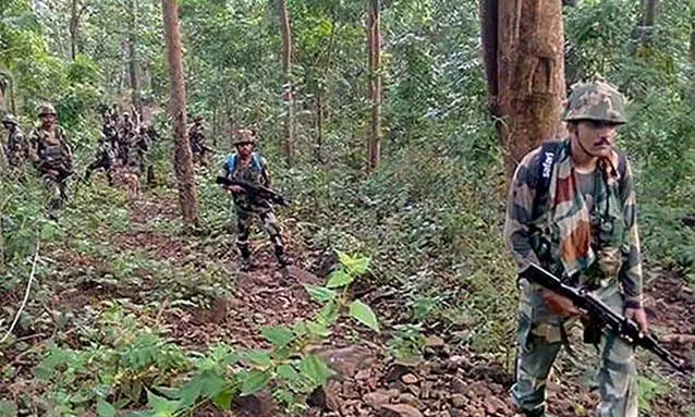 185 Maoists eliminated so far in 2024