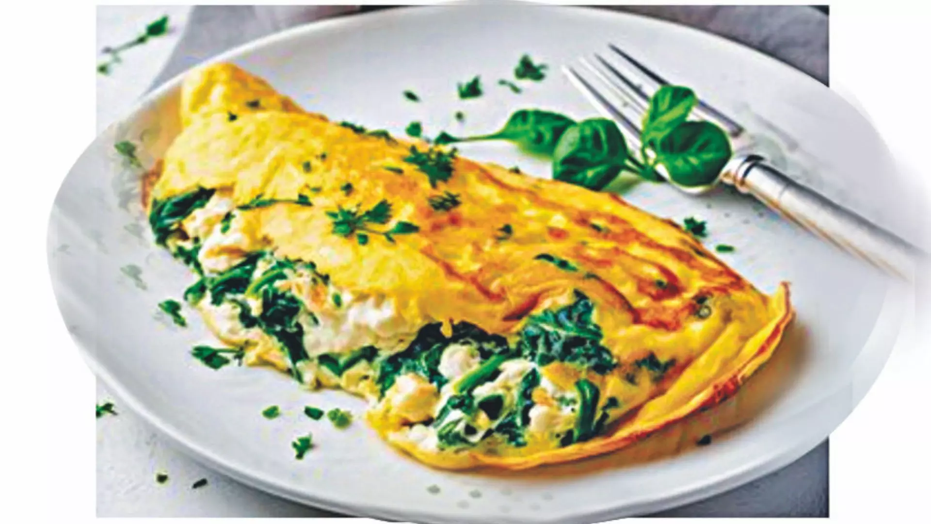 Omelette tips from eggs-pert