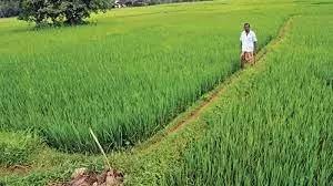 Palnadu SHG women impress US delegation through natural farming practices