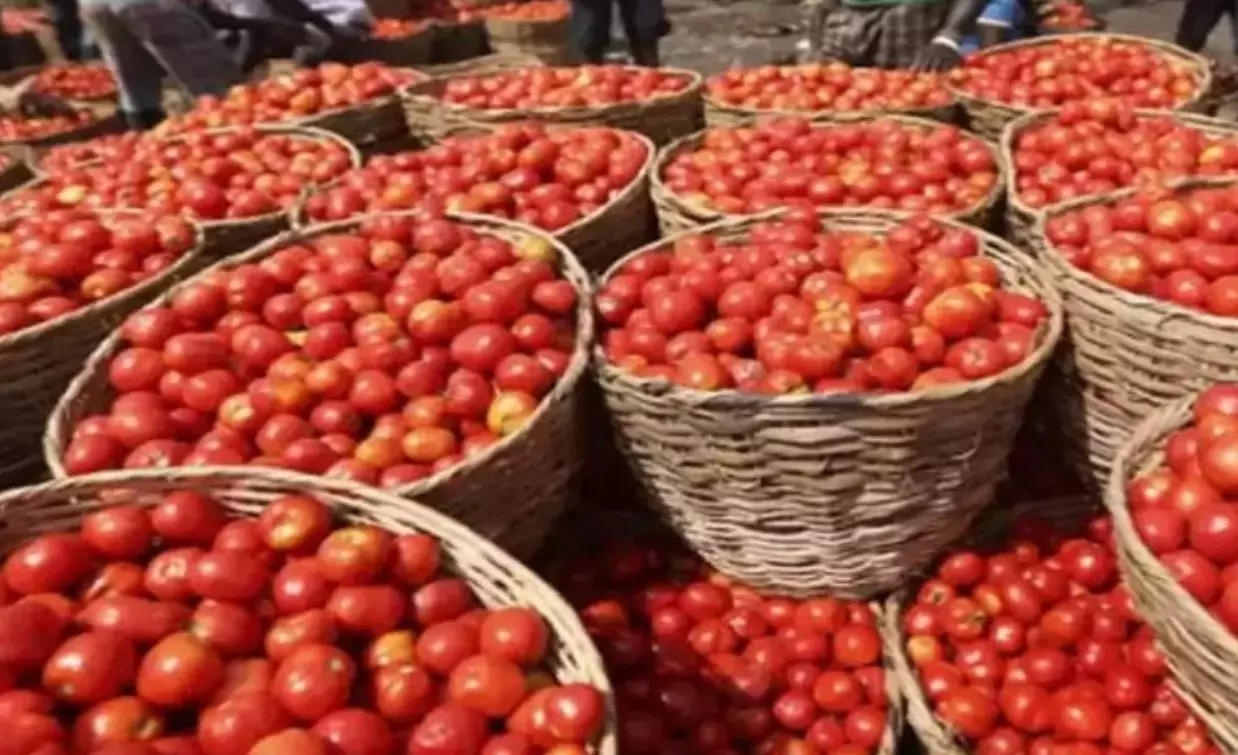 Tomato prices to cool down soon, says Consumer Affairs Secretary