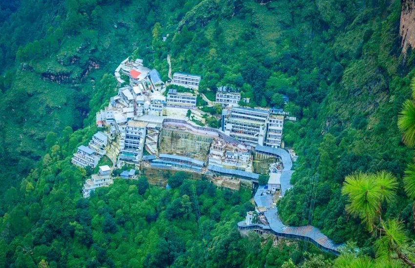 26k Trees Planted To Make Vaishno Devi Hills Greener