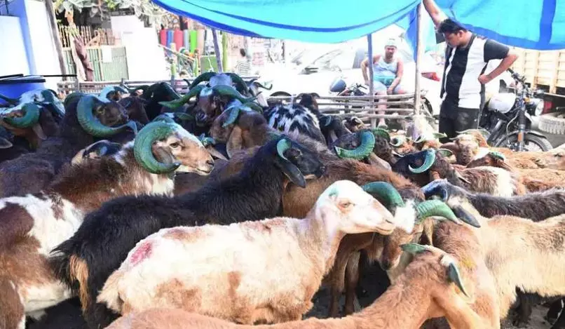 Hyderabad: Mutton Rs 1,100 per kg as people prepare Dasara meal