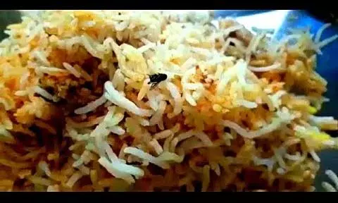 Video Viral of Centipede Found in Biryani at Hotel