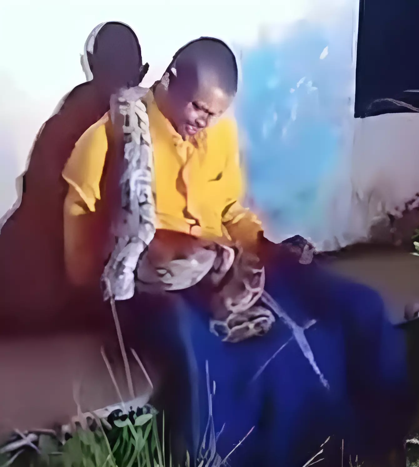 Onlookers rescue drunk man from python