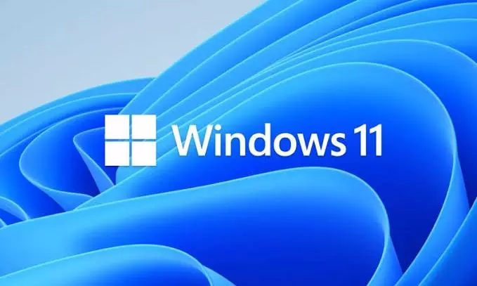 Windows 11 24H2 Update Leading to Blue Screen of Death for Users with WD SSDs