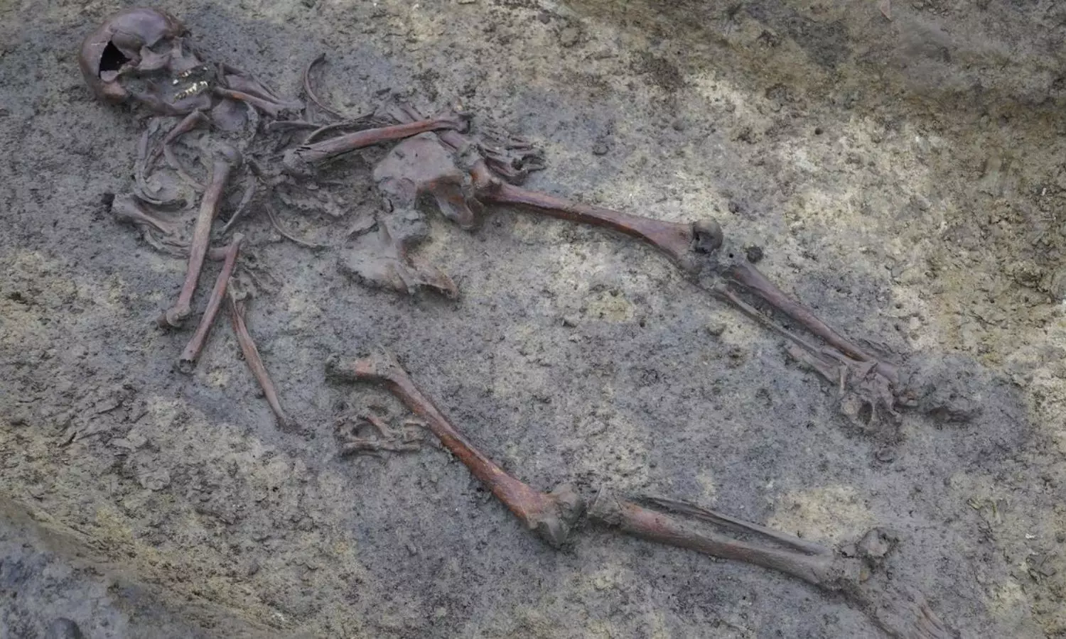 50 well-preserved Viking Age skeletons unearthed in Denmark