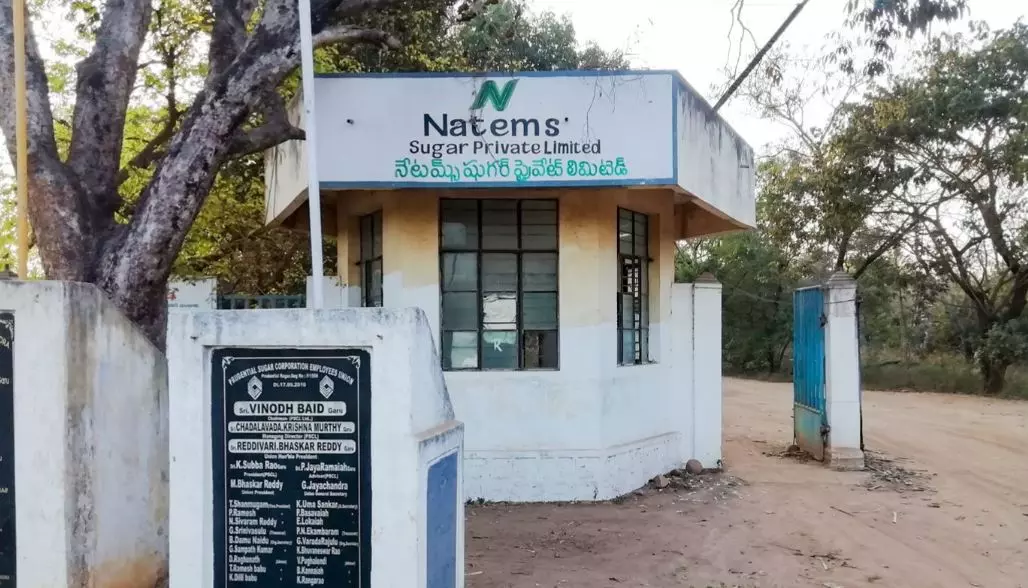 Farmers Upset Over Auction of Natems Sugar’s Nindra Assets