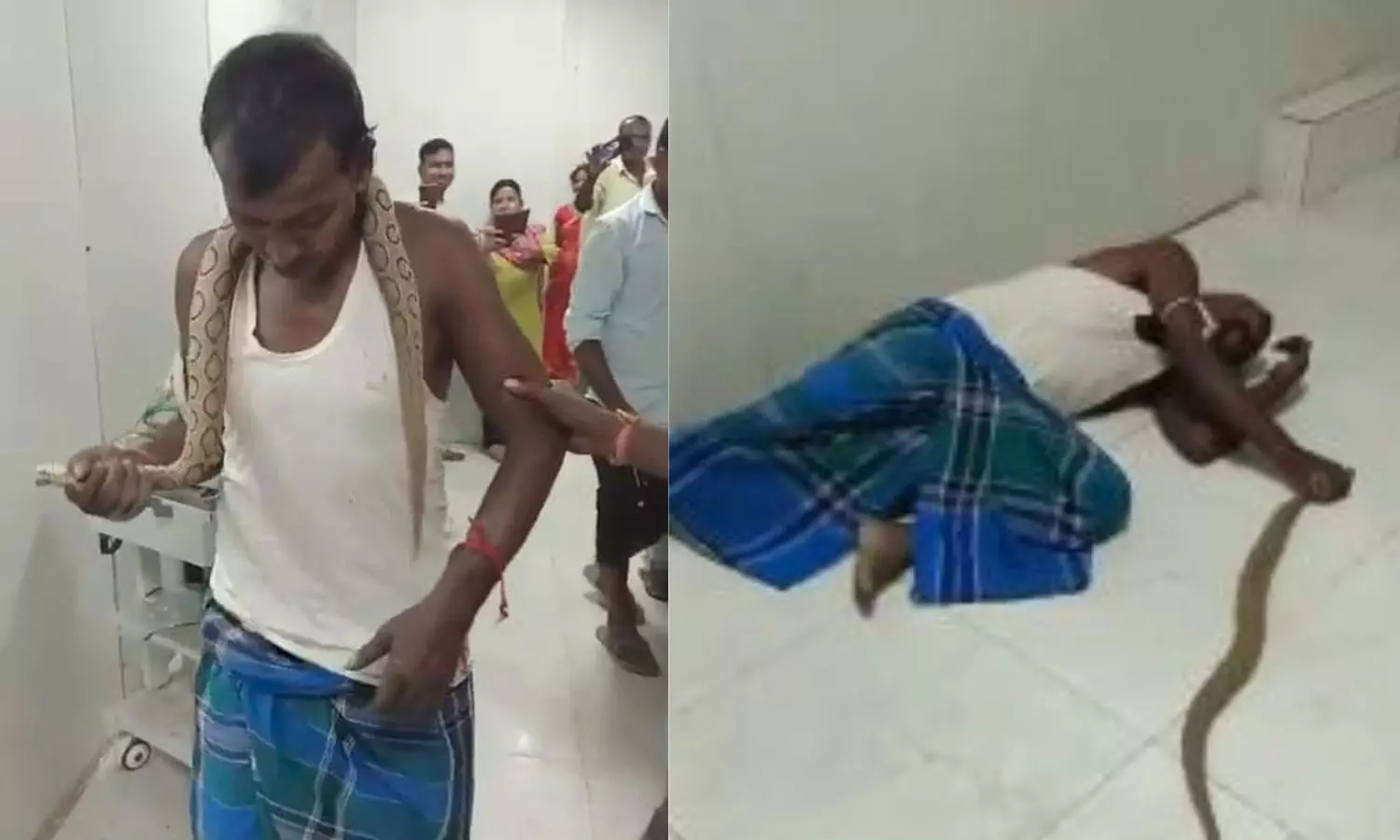 Man walks into hospital with snake that bit him in Bihar, video viral