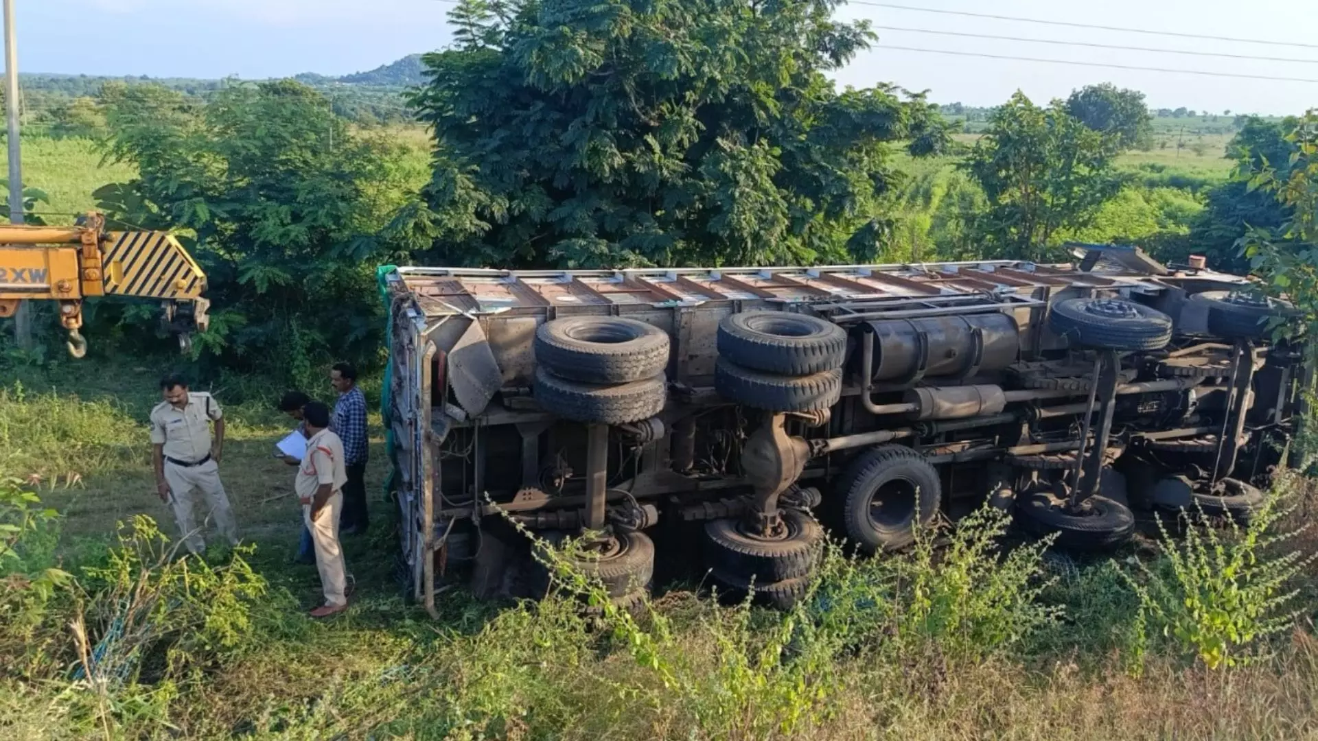 Lorry carrying wild animals overturns in Telangana