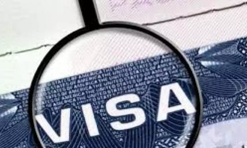 Fraudsters Cheat Dentist with Fake Visa Offer