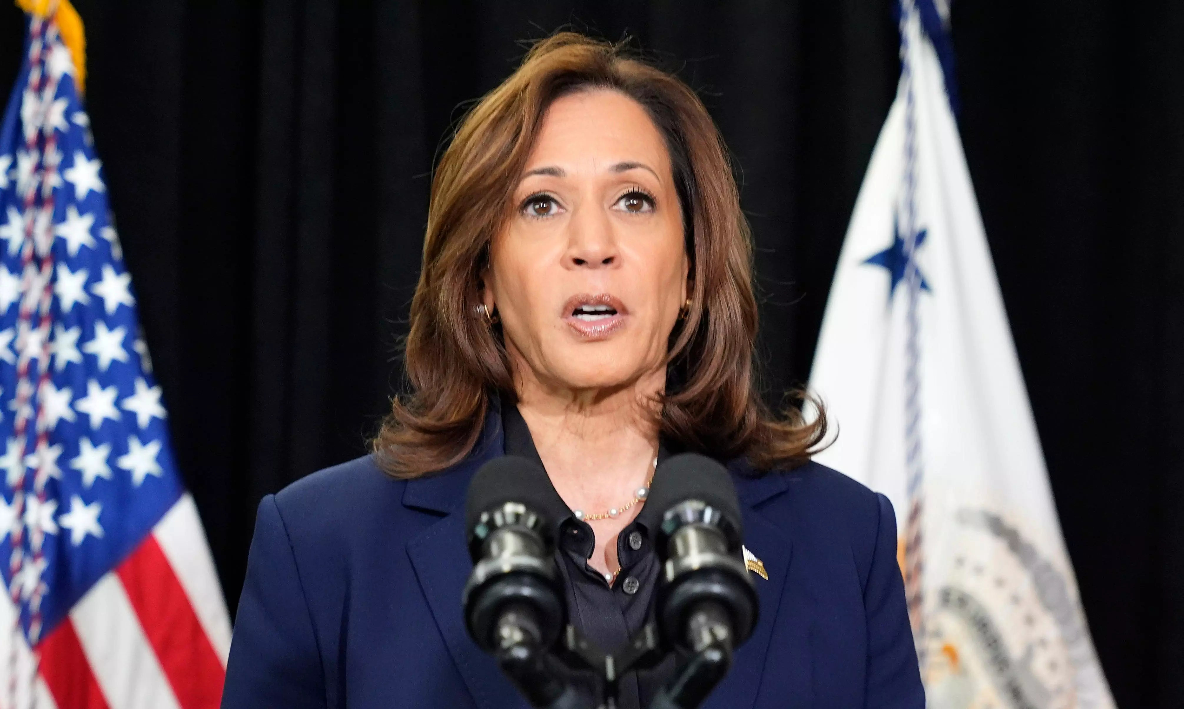 Sinwars Killing an opportunity to end Gaza war: Harris