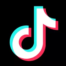 TikTok disallowed political ads, yet disinformation slipped through