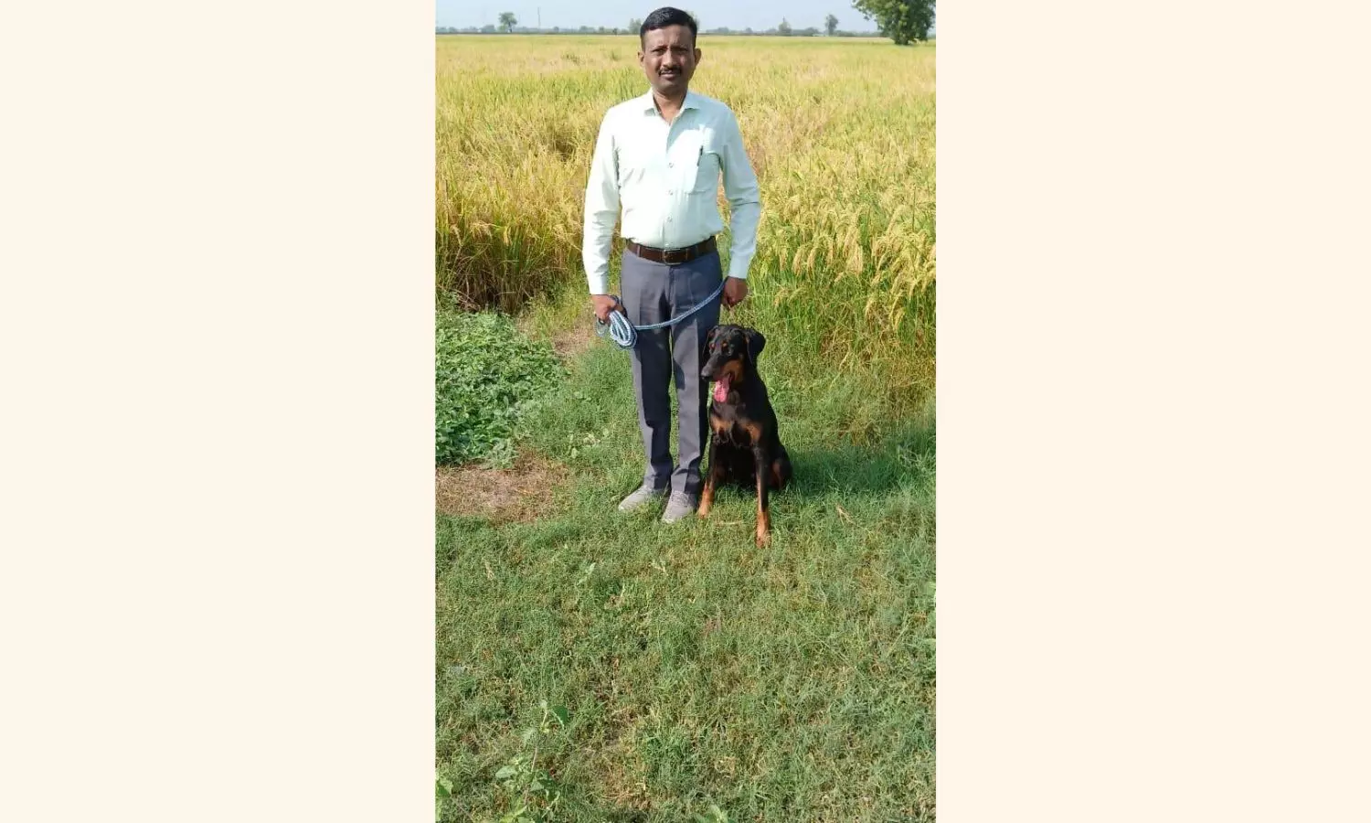 Police dog helps recover Rs 1.07 cr stolen from Gujarat farmers house