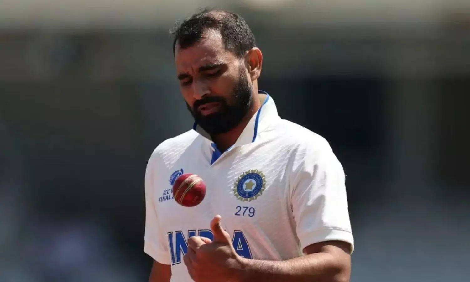 I am pain-free: Mohammed Shami after bowling at full tilt in Bengaluru