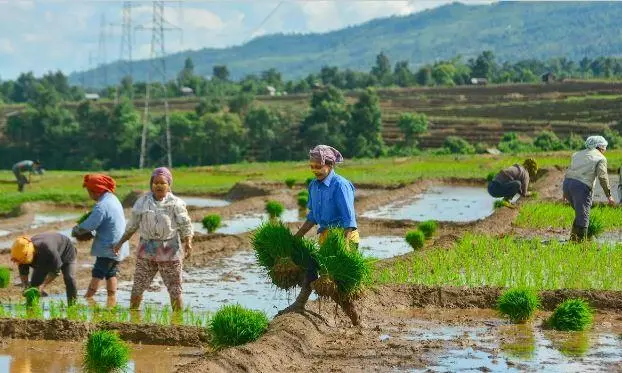 A Dhoti-Towel Challenge for BRS Ahead of Farmers’ Stir at Adilabad