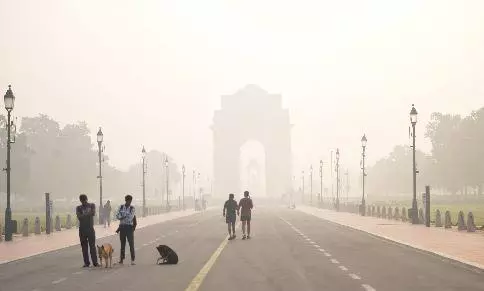 SC pulls up Centre for toothless environmental laws on stubble burning