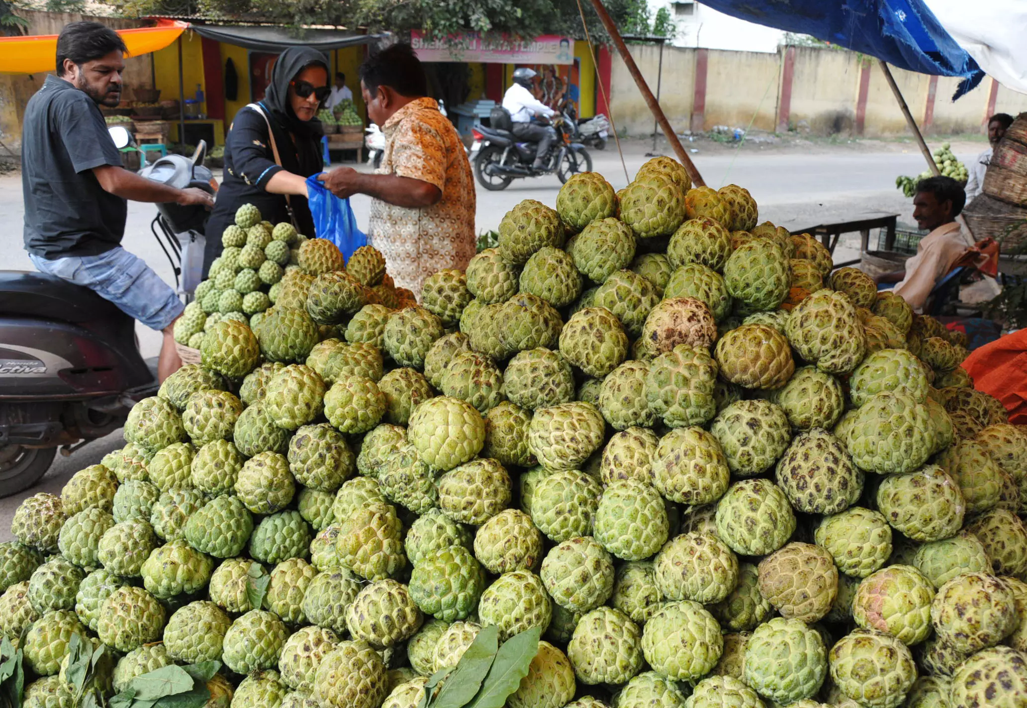 DRYSRHU developing organically grown custard apple seeds sourced from tribal areas