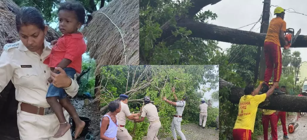 Cyclone Dana uproots trees, damages homes in Odisha