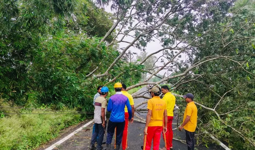 Cyclone Dana Ravages Odisha Coast, Leaves Farmers and Fishermen Devastated