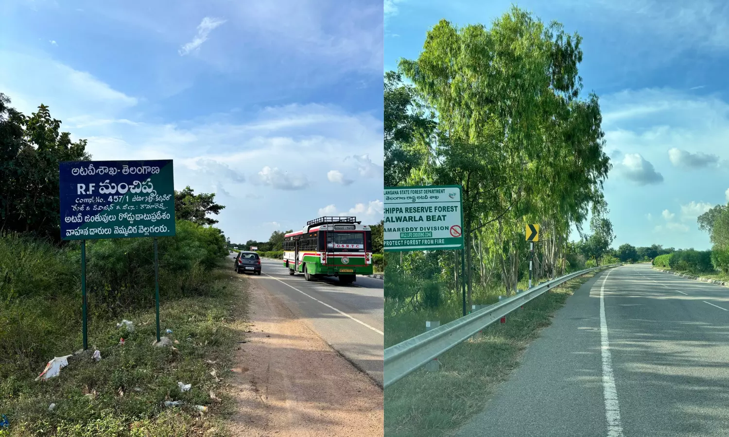 Lack of fencing on NH 44 leads to frequent deaths of wild animals