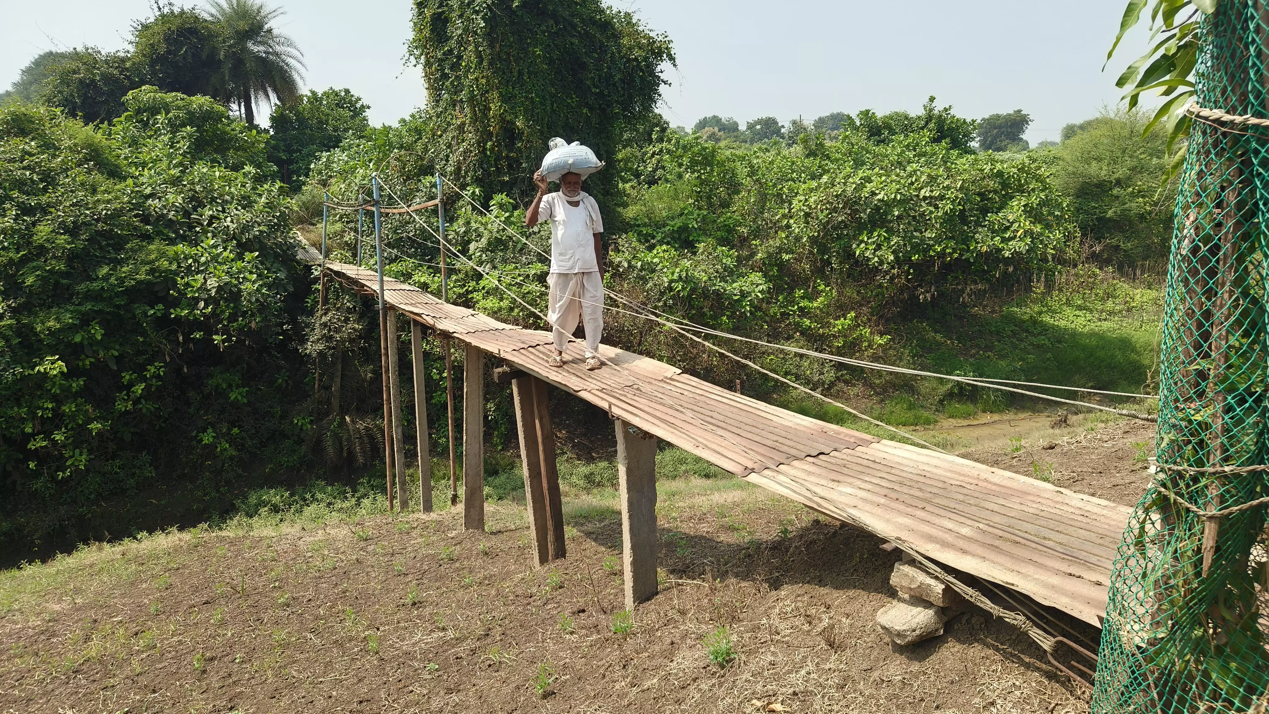 Farmer, 75, builds bridge over rivulet to make way for farm