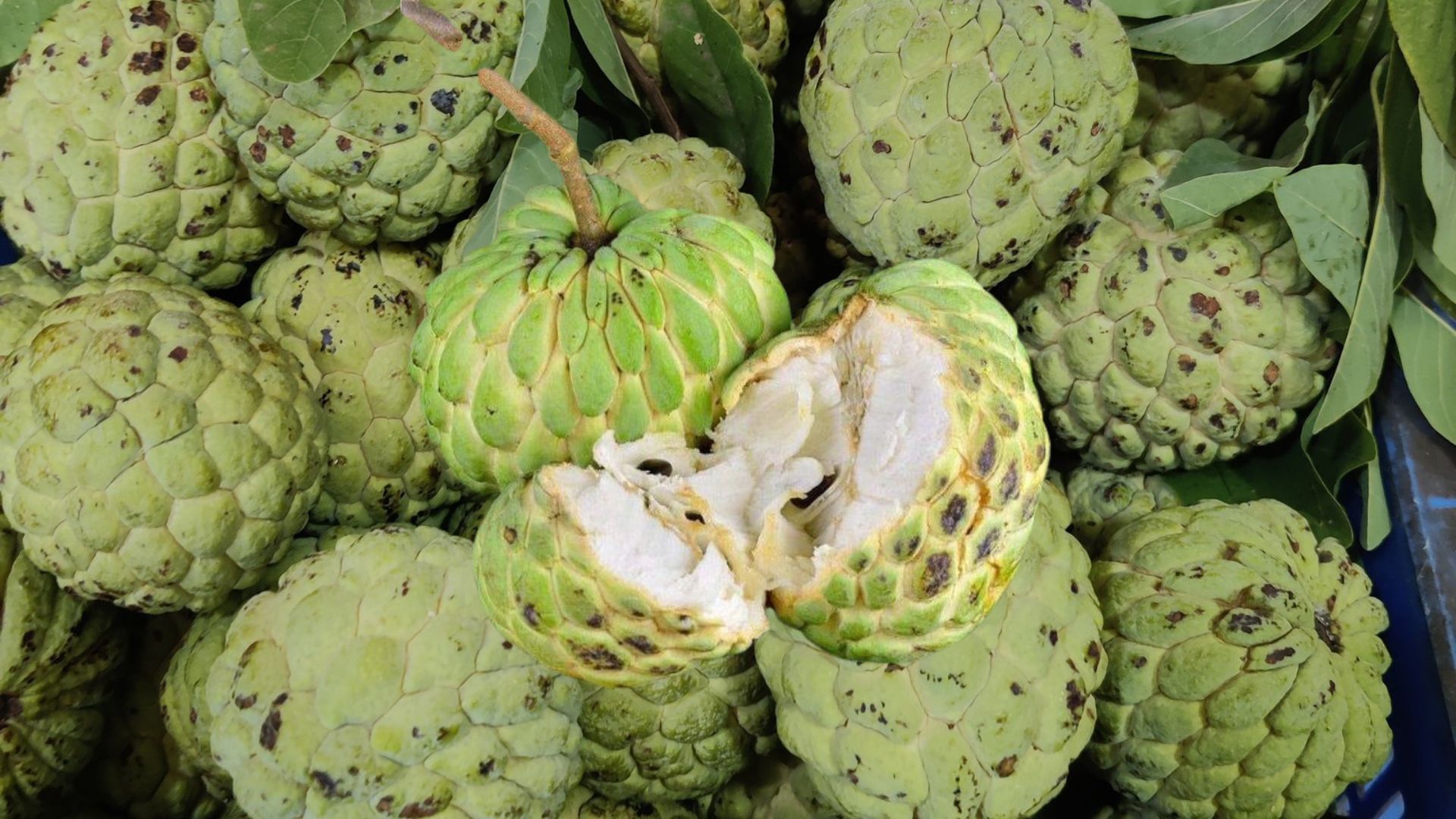 Custard Apple Gains Popularity in Hyderabad Market: A Rare Fruit Takes Center Stage