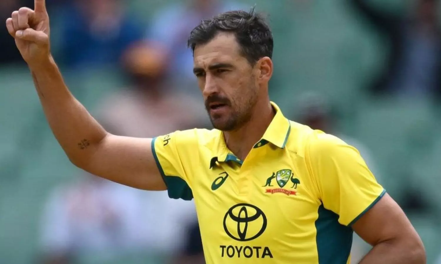 1st ODI: Starc grabs three wickets as Pakistan set Australia 204 to win