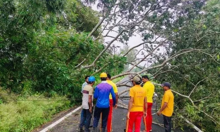 Cyclone Dana Affected Over 4.1 Million People; Damage Estimated at Rs 600 Crore