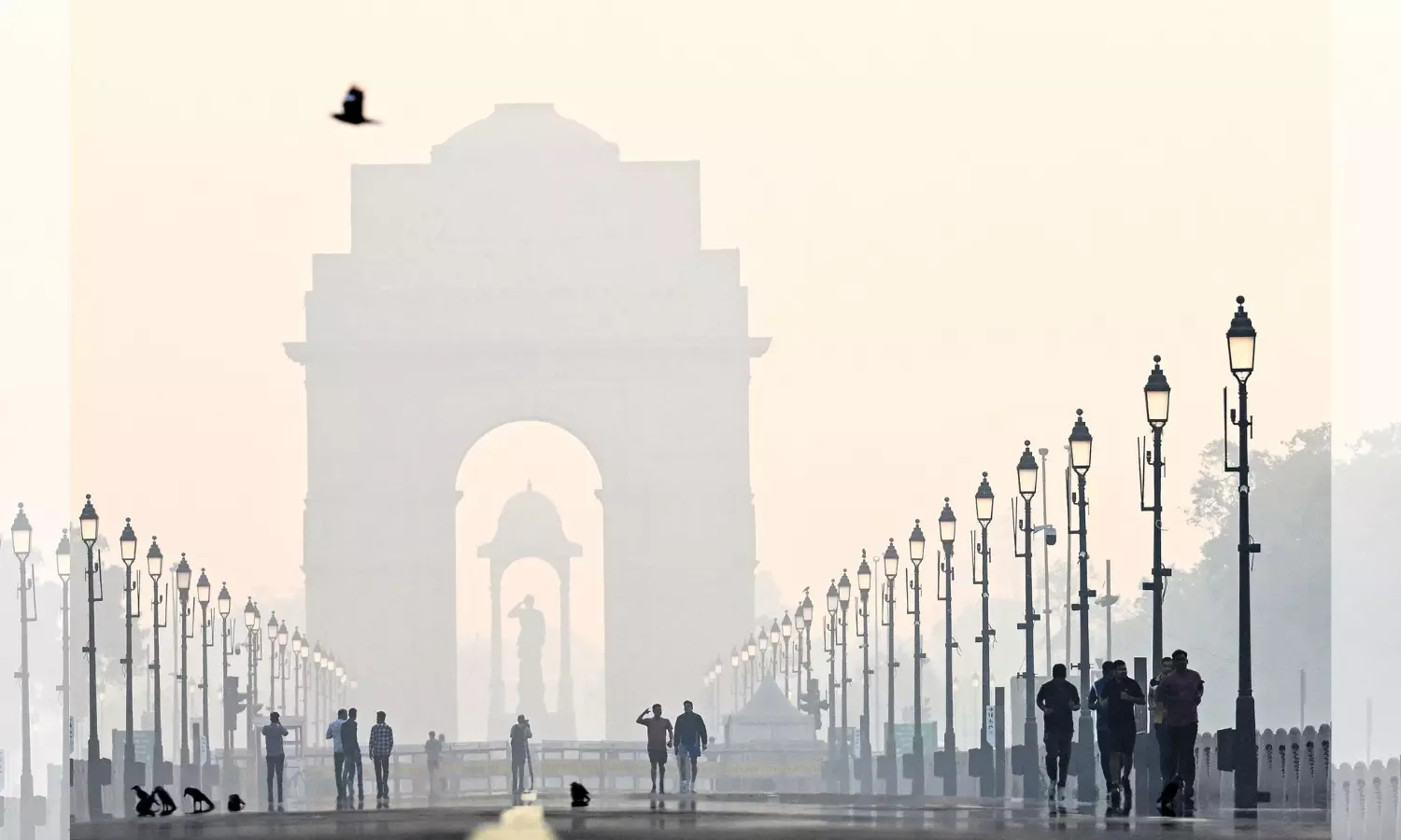 Smog sickness: Delhi struggles to breathe as pollution surges