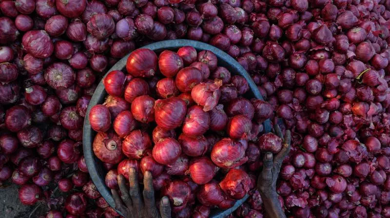 Onion Farmers in Kurnool Enjoy a Profitable Season