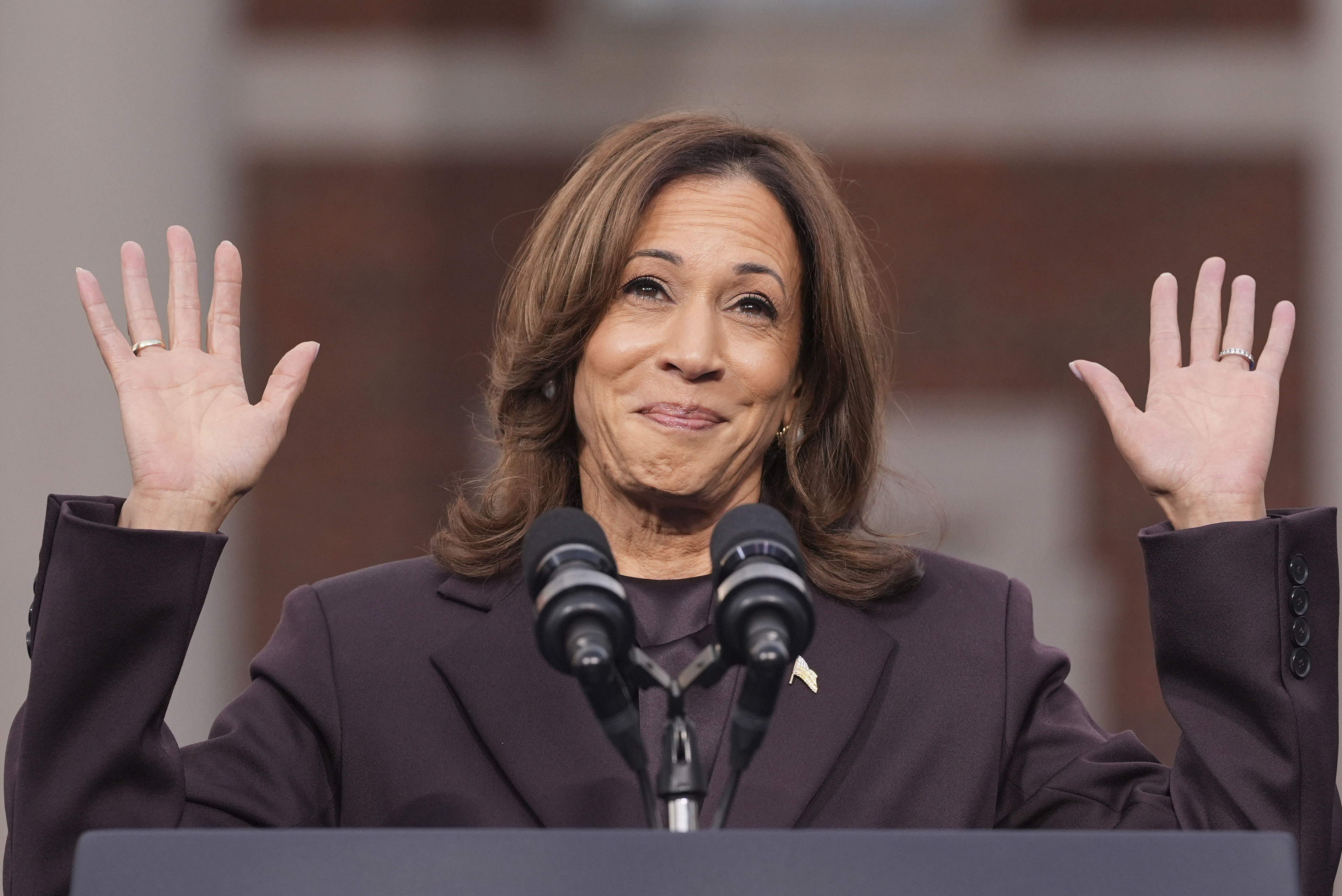 Explained: Why Kamala Harris's Historic White House Bid Fell Short