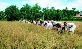 Telangana Govt to Set Up Water Users Association for Farmers' Welfare