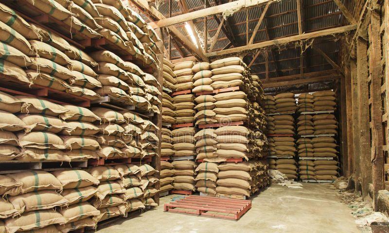 Procurement Will Pick Up Pace Soon: Civil Supplies Officials