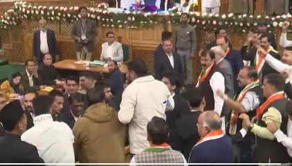 Uproar in J-K Assembly as BJP members protest over special status resolution