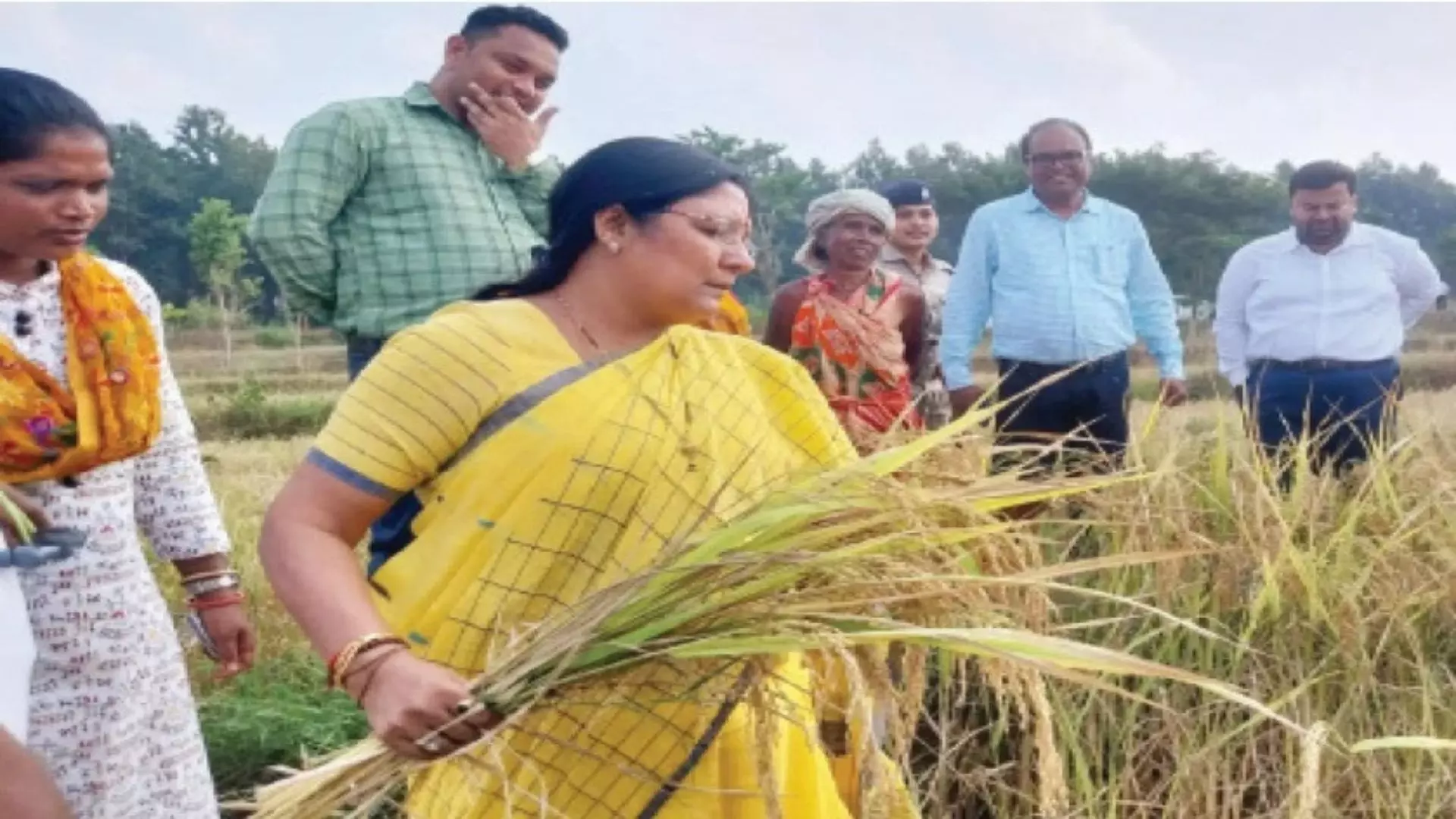 Union Minister Savitri Thakur Joins Odisha Farmers for Harvest