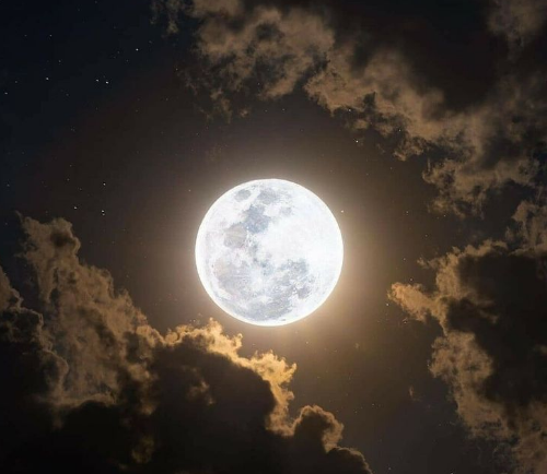 Catch the year’s last supermoon on Nov. 14