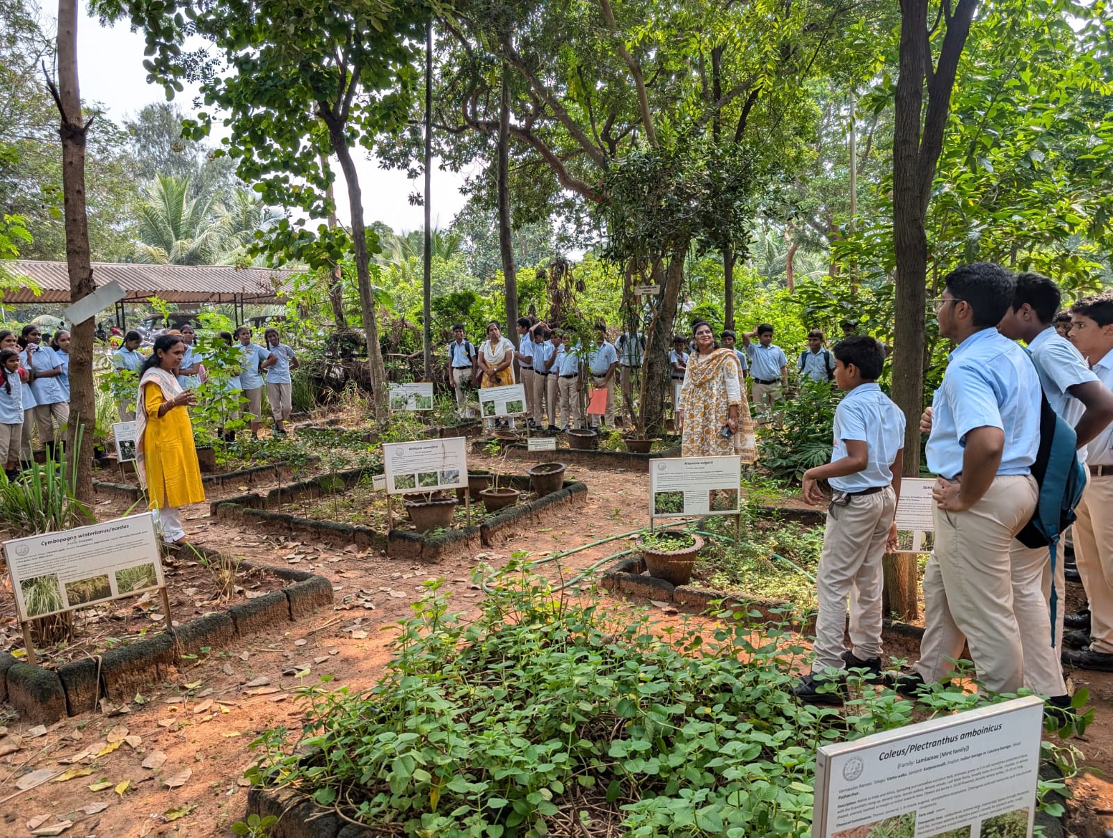 Andhra Pradesh: From Dumping Ground to Biodiversity Oasis