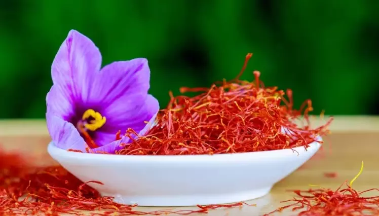 38-year-old achieves Lucknows first saffron bloom