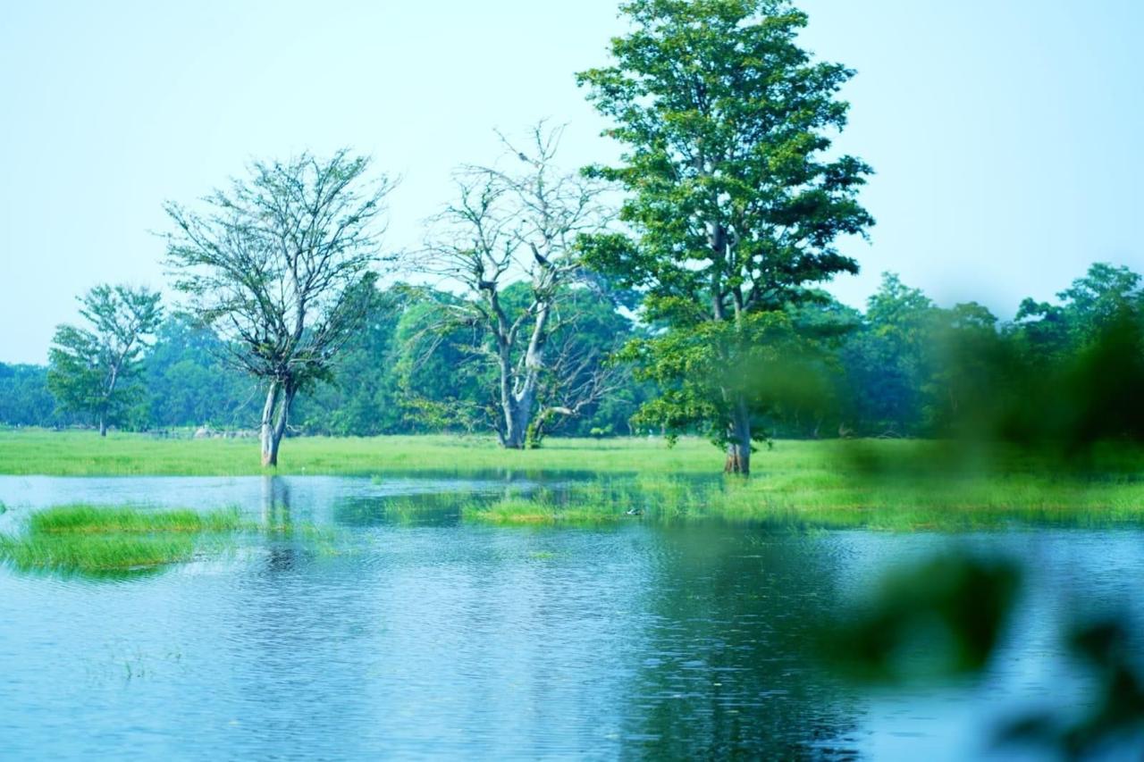 Telangana: Birdwatching event at Thurkam Cheruvu in Nirmal