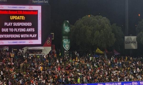 Here's Why Play was Interrupted During India-South Africa T20I at Centurion