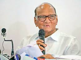 Pawar accuses Fadnavis of coining ‘vote jihad’ to polarise Assembly poll