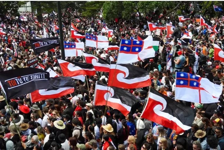 Thousands March in New Zealand Against Treaty Principles Bill