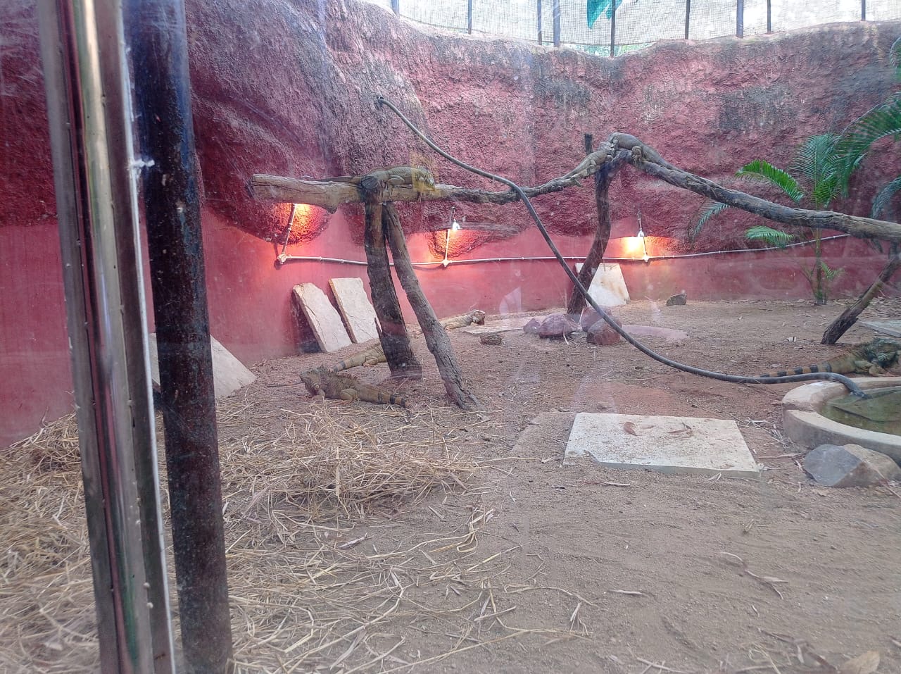 Nehru Zoo Gears Up for Harsh Winter With New Heating Measures