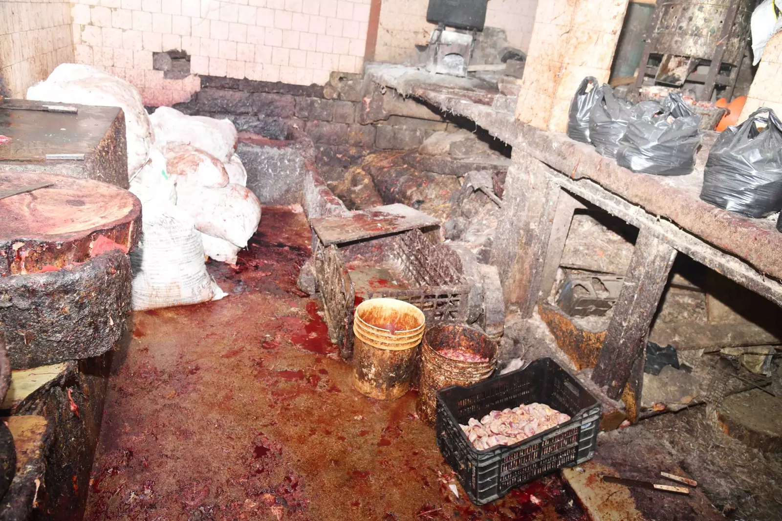 Hyderabad: Surprise Inspection Uncovers Food Safety Violations