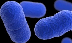 Listeria outbreak tied to Yu Shang Food leaves California infant dead and 10 people sick