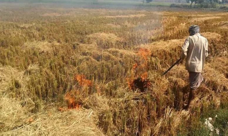 Stubble Burning Spewing Toxic Fumes Into Telangana Air