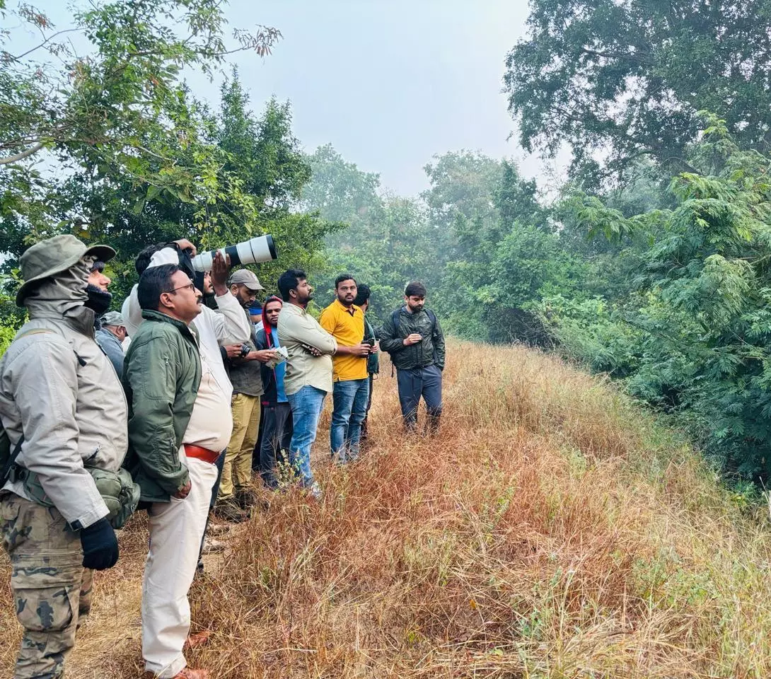 Two- Day Nature Camp, Bird Watching Concludes