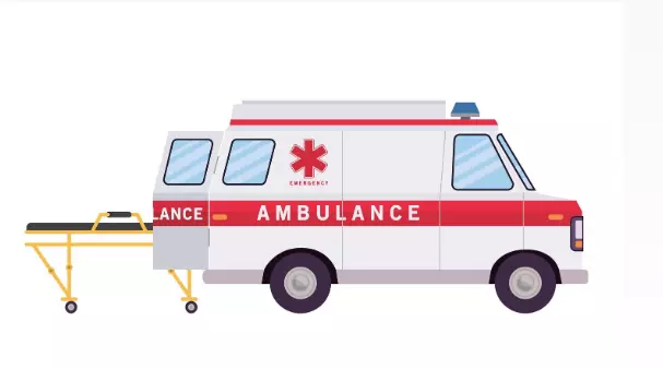 Chhattisgarh woman, newborns die in ambulance, kin allege oxygen shortage