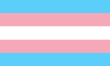 Mental health of trans women a major issue: Study