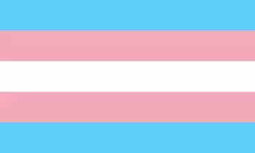 Mental health of trans women a major issue: Study